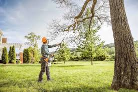 Why Choose Our Tree Removal Services in Spring Glen, UT?